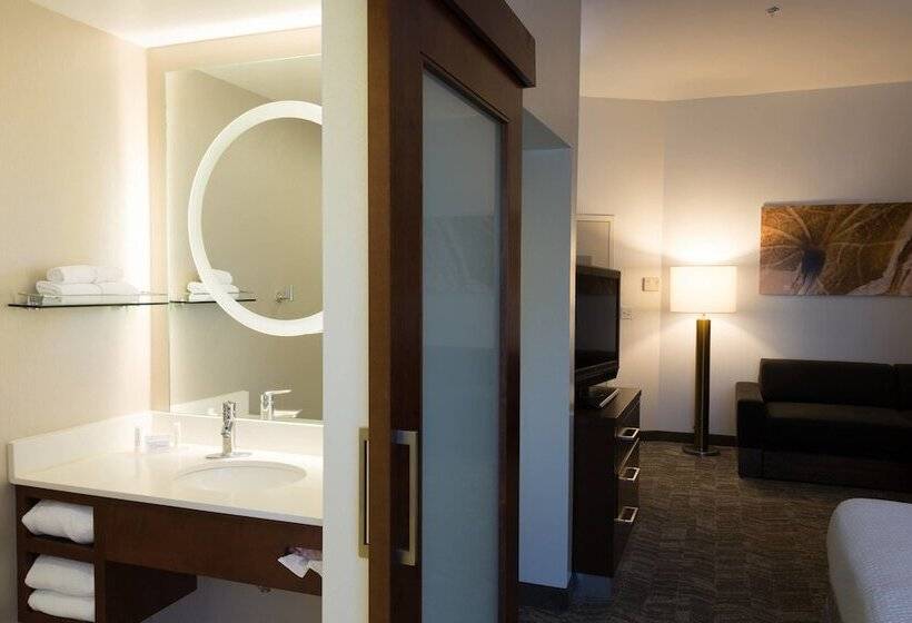 إستوديو قياسى, Springhill Suites Quakertown Pennsylvania