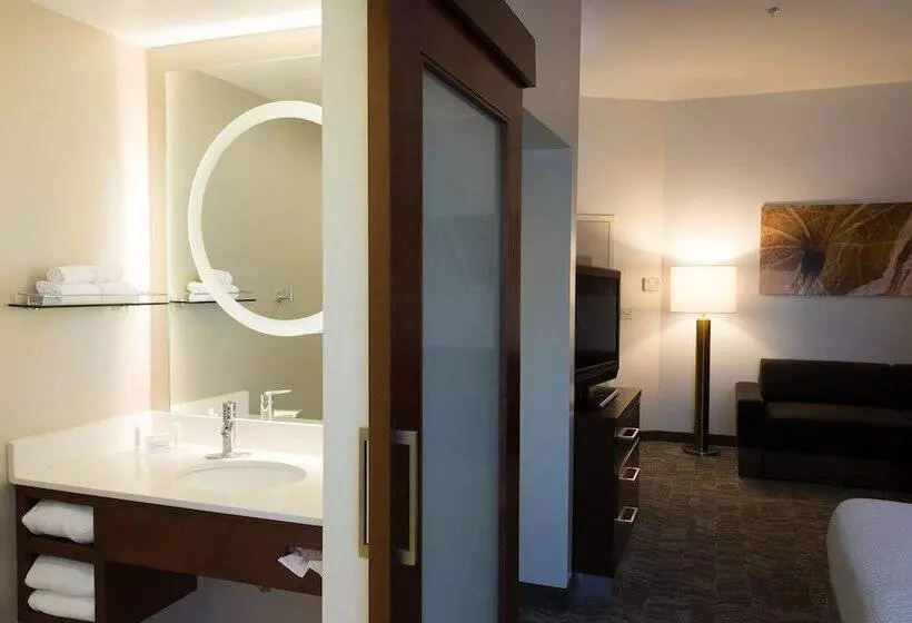 スタンダードスタジオ, Springhill Suites Quakertown Pennsylvania
