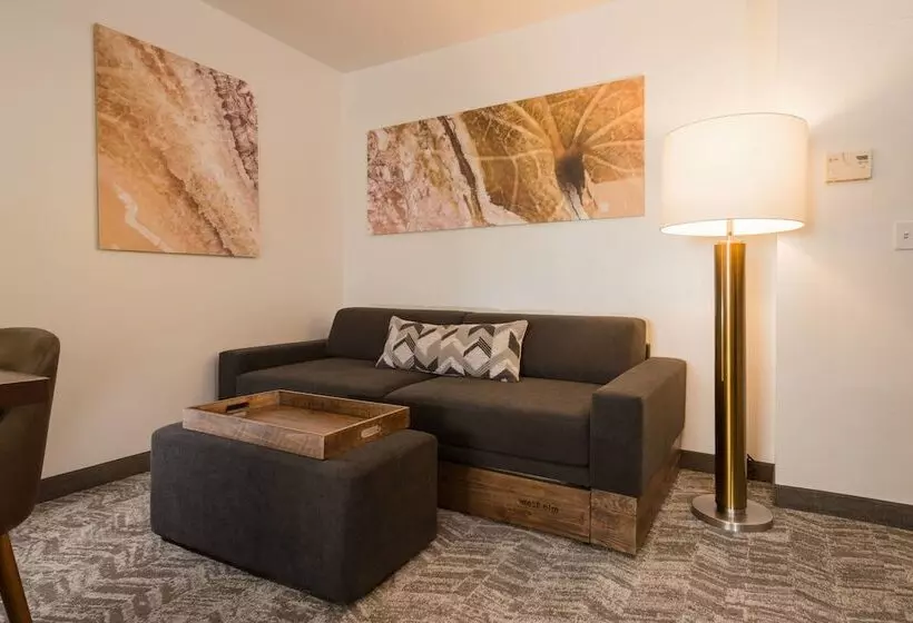 スタンダードスタジオ, Springhill Suites Quakertown Pennsylvania