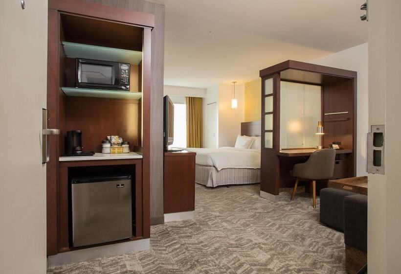 إستوديو قياسى, Springhill Suites Quakertown Pennsylvania