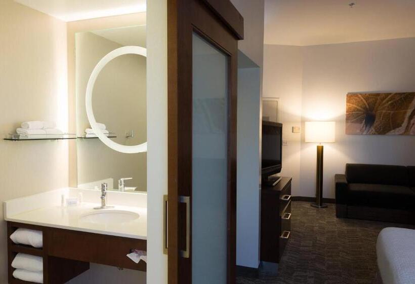 带大床的标准工作室, Springhill Suites Quakertown Pennsylvania