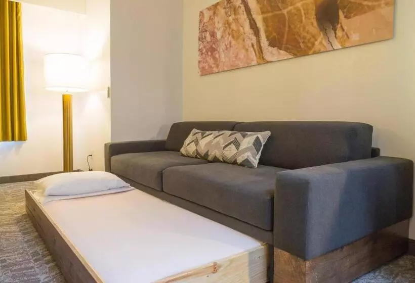 キングサイドベッドのスタンダードワンルーム, Springhill Suites Quakertown Pennsylvania