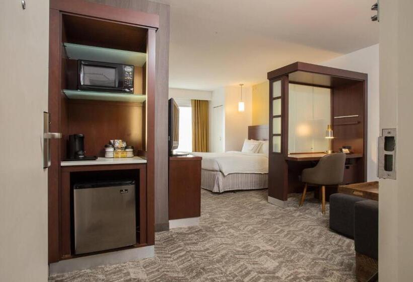 带大床的标准工作室, Springhill Suites Quakertown Pennsylvania