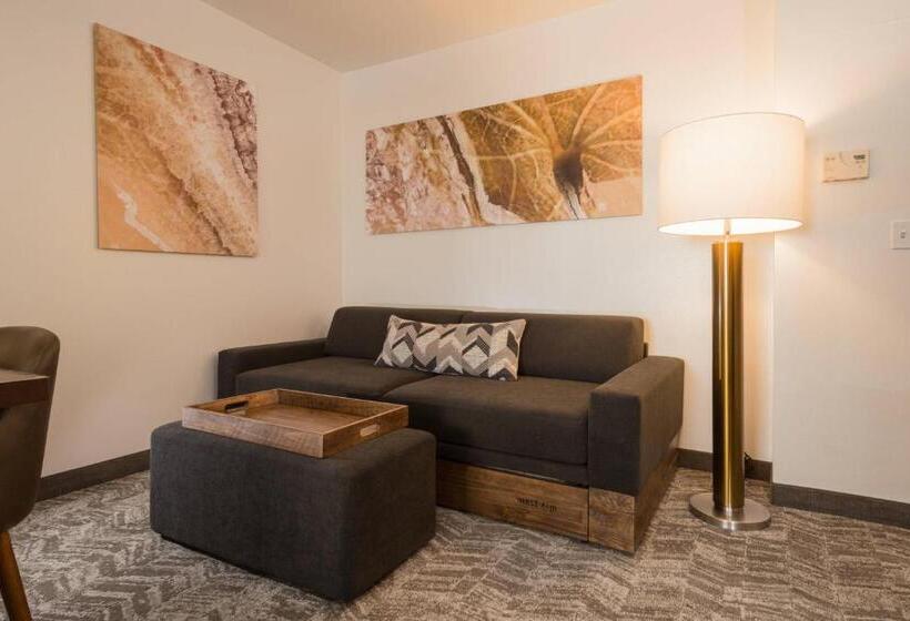 إستوديو قياسى سرير كينج, Springhill Suites Quakertown Pennsylvania