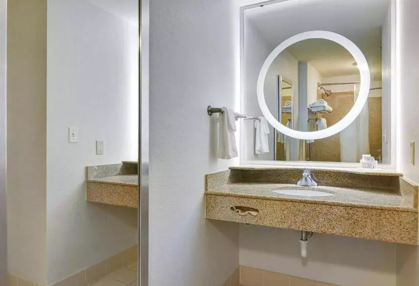 キングサイドベッドのスタンダードワンルーム, Springhill Suites Shreveportbossier City/louisiana Downs
