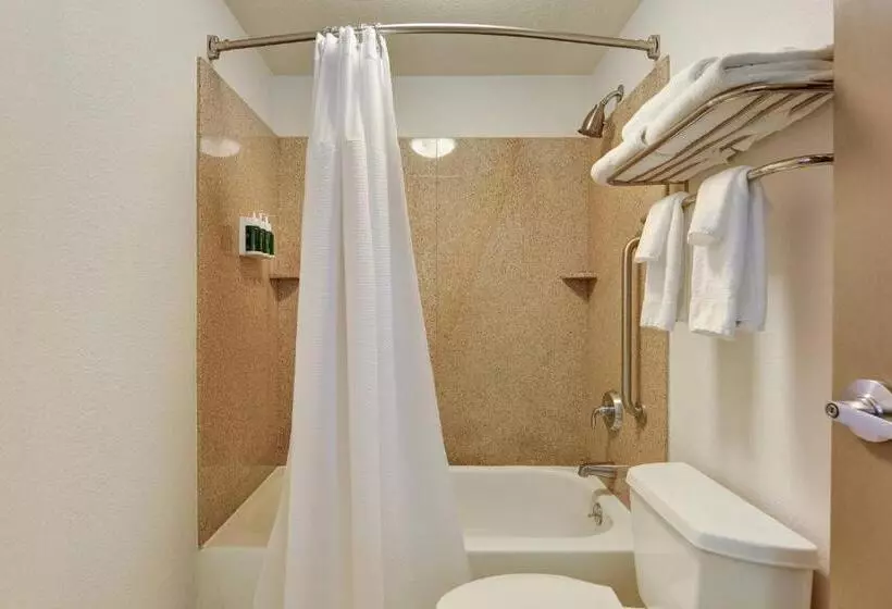 キングサイドベッドのスタンダードワンルーム, Springhill Suites Shreveportbossier City/louisiana Downs