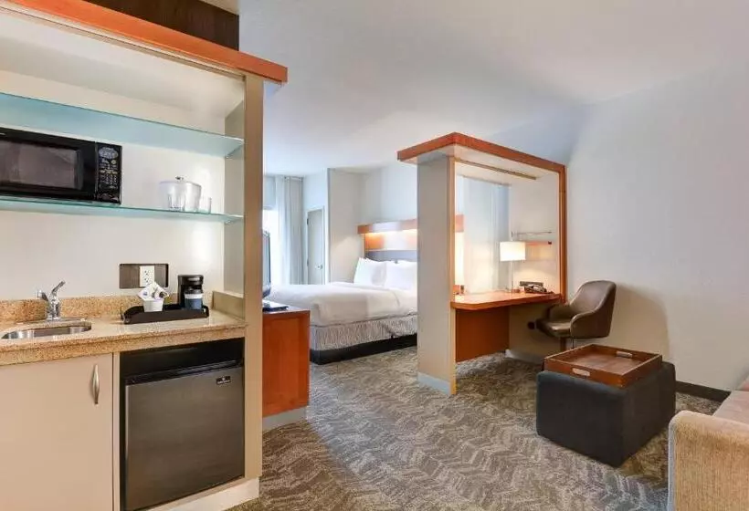キングサイドベッドのスタンダードワンルーム, Springhill Suites Shreveportbossier City/louisiana Downs