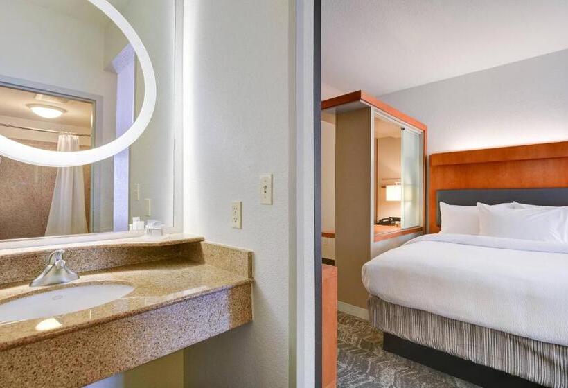 带大床的标准工作室, Springhill Suites Shreveportbossier City/louisiana Downs