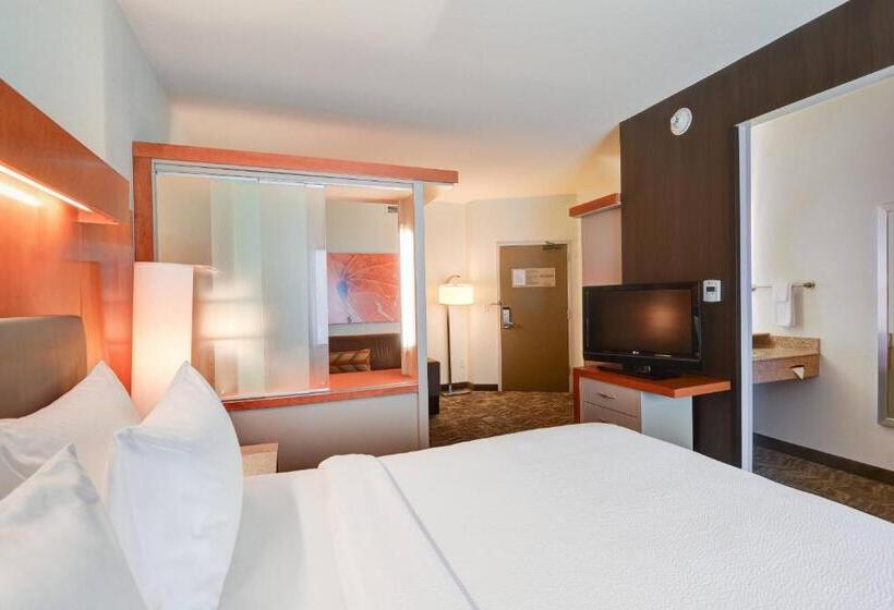Студио Стандарт Кровать Кинг, Springhill Suites Shreveportbossier City/louisiana Downs