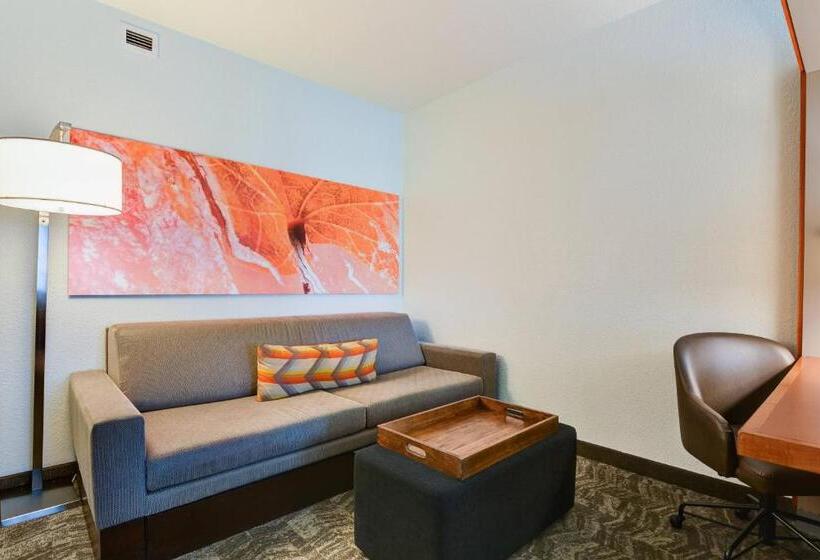 带大床的标准工作室, Springhill Suites Shreveportbossier City/louisiana Downs