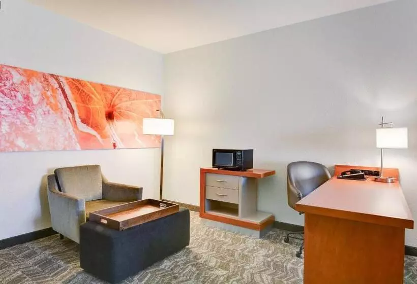 スタンダードスタジオ, Springhill Suites Shreveportbossier City/louisiana Downs