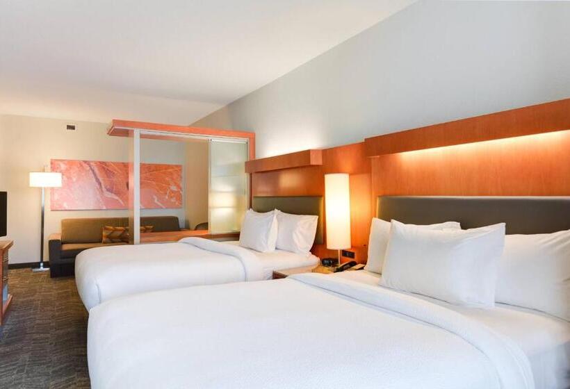 标准工作室, Springhill Suites Shreveportbossier City/louisiana Downs