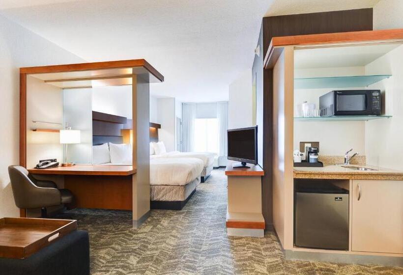 标准工作室, Springhill Suites Shreveportbossier City/louisiana Downs