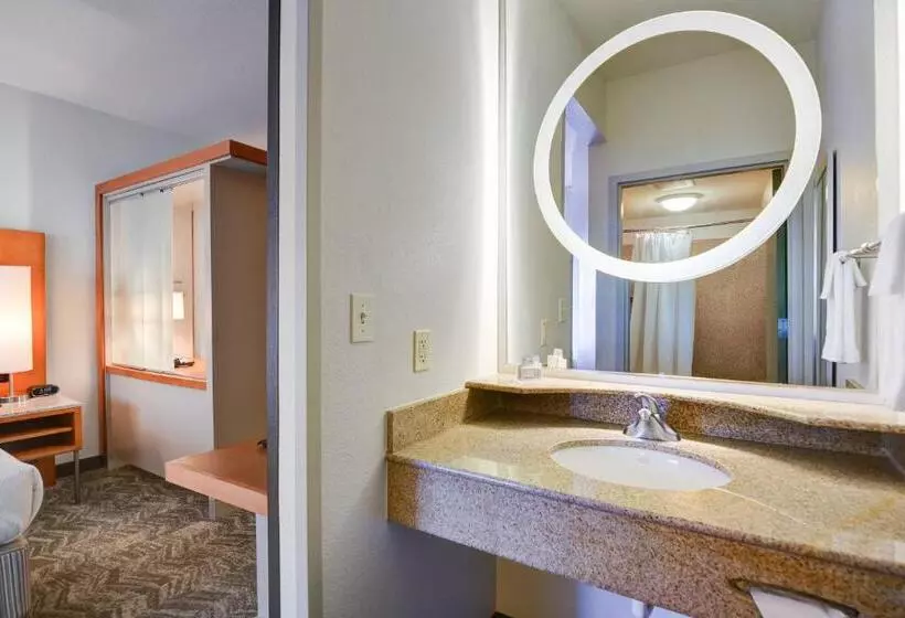 キングサイズベッドのスイートルーム, Springhill Suites Shreveportbossier City/louisiana Downs