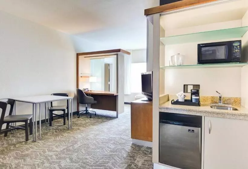 キングサイズベッドのスイートルーム, Springhill Suites Shreveportbossier City/louisiana Downs