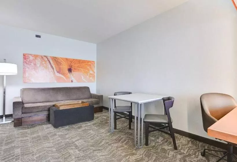 キングサイズベッドのスイートルーム, Springhill Suites Shreveportbossier City/louisiana Downs