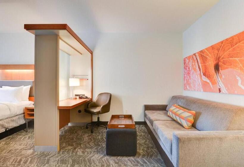 带大床的标准工作室, Springhill Suites Shreveportbossier City/louisiana Downs