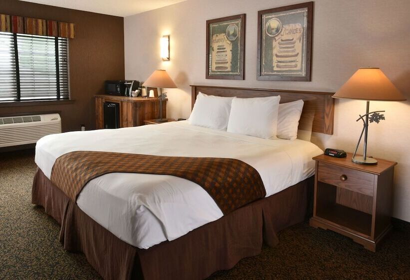 デラックスルーム, Stoney Creek Hotel Moline