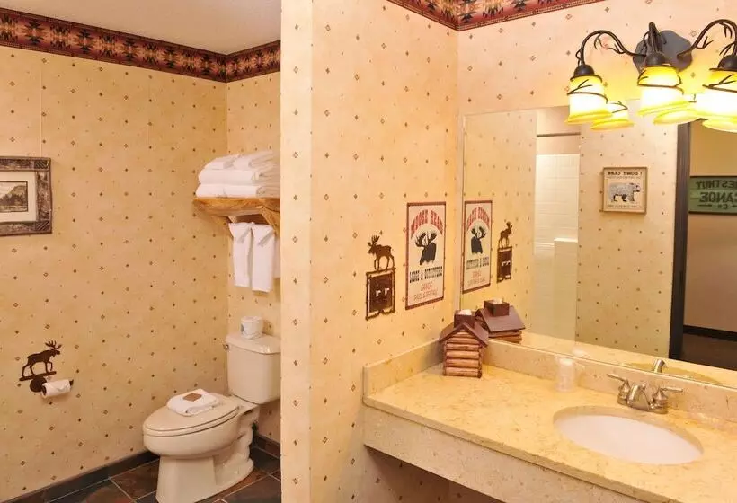 スーペリアースイート, Stoney Creek Hotel Quad Cities Moline
