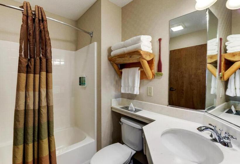 キングサイズベッドのデラックスルーム, Stoney Creek Hotel Moline