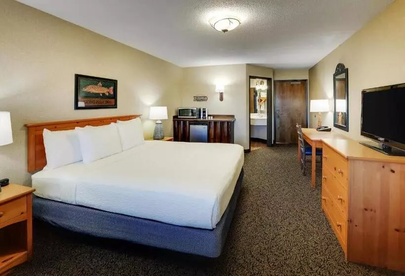 キングサイズベッドのデラックスルーム, Stoney Creek Hotel Quad Cities Moline