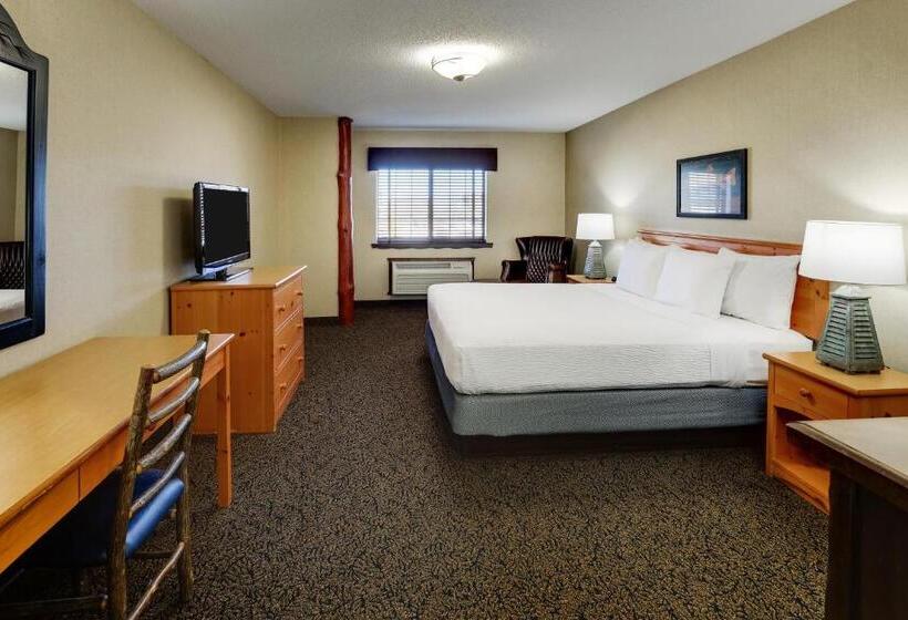 带大床的豪华间, Stoney Creek Hotel Moline