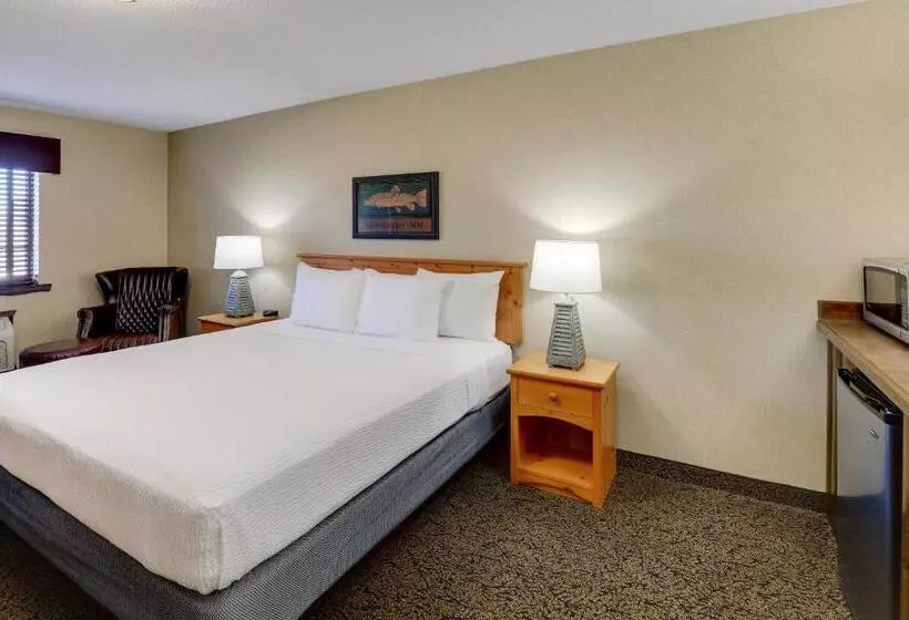 キングサイズベッドのデラックスルーム, Stoney Creek Hotel Quad Cities Moline