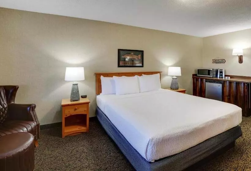 キングサイズベッドのデラックスルーム, Stoney Creek Hotel Quad Cities Moline