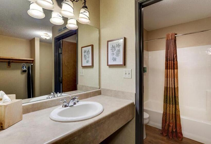 スーペリアールーム, Stoney Creek Hotel Moline