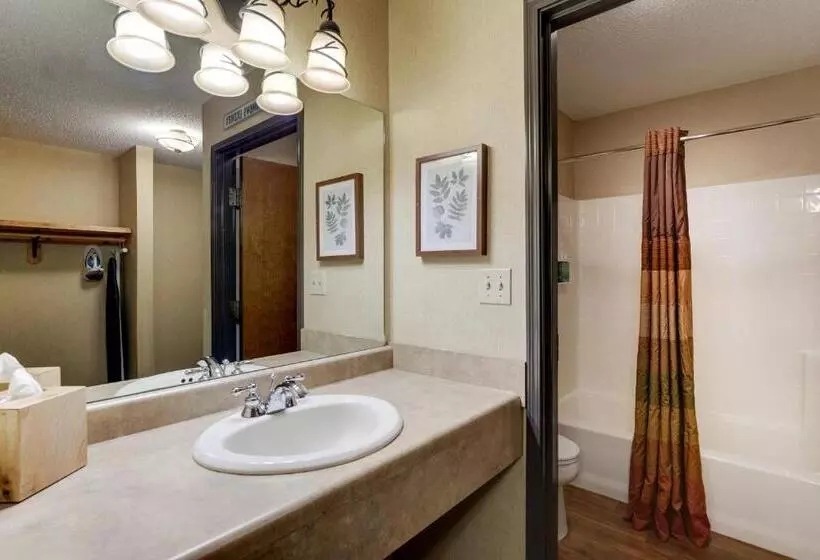 スーペリアールーム, Stoney Creek Hotel Quad Cities Moline