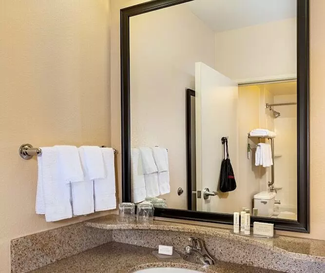 スタンダードスタジオ, Springhill Suites By Marriott Modesto