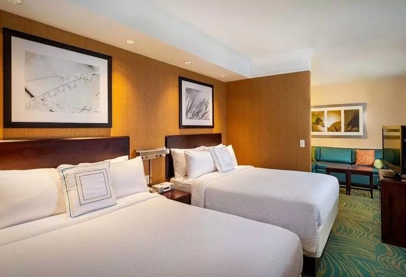 スタンダードスタジオ, Springhill Suites By Marriott Modesto