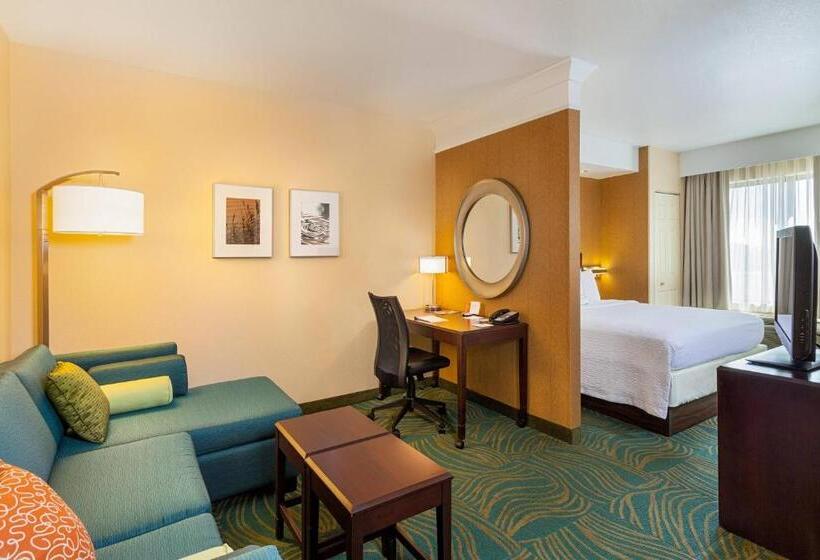 스탠다드 스튜디오 킹침대, Springhill Suites By Marriott Modesto