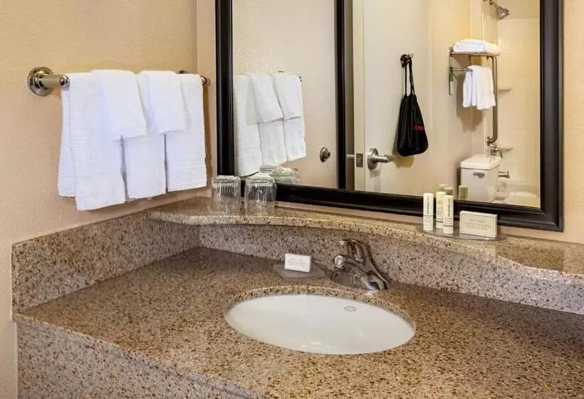 キングサイドベッドのスタンダードワンルーム, Springhill Suites By Marriott Modesto