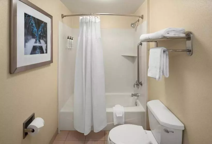 キングサイドベッドのスタンダードワンルーム, Springhill Suites By Marriott Modesto
