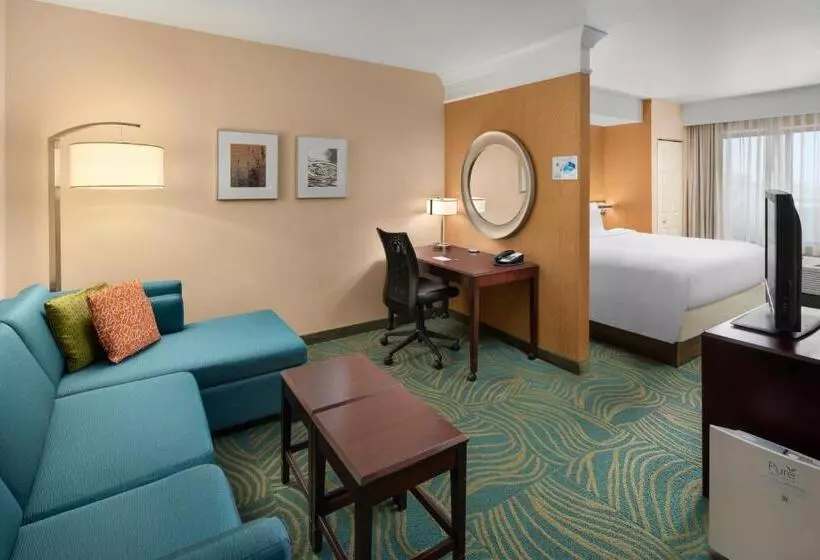 キングサイドベッドのスタンダードワンルーム, Springhill Suites By Marriott Modesto