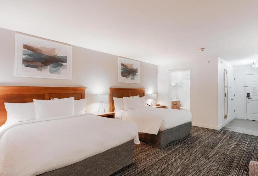 חדר סטודיו סטנדרד, Towneplace Suites Stafford