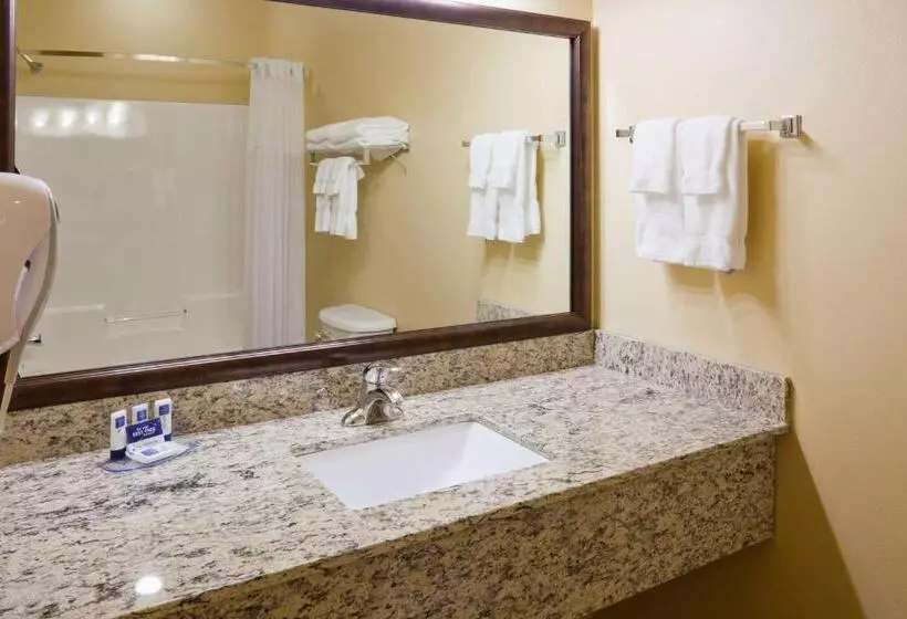 اتاق استاندارد با تخت بزرگ, Americinn By Wyndham Fargo Medical Center