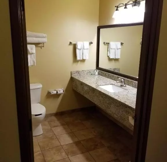 اتاق استاندارد با تخت بزرگ, Americinn By Wyndham Fargo Medical Center