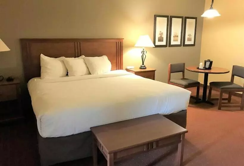 Deluxe Suite King Bed, Americinn By Wyndham Fargo Medical Center