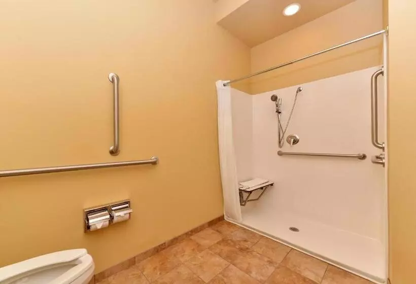 اتاق استاندارد با تخت بزرگ برای معلولان, Americinn By Wyndham Fargo Medical Center