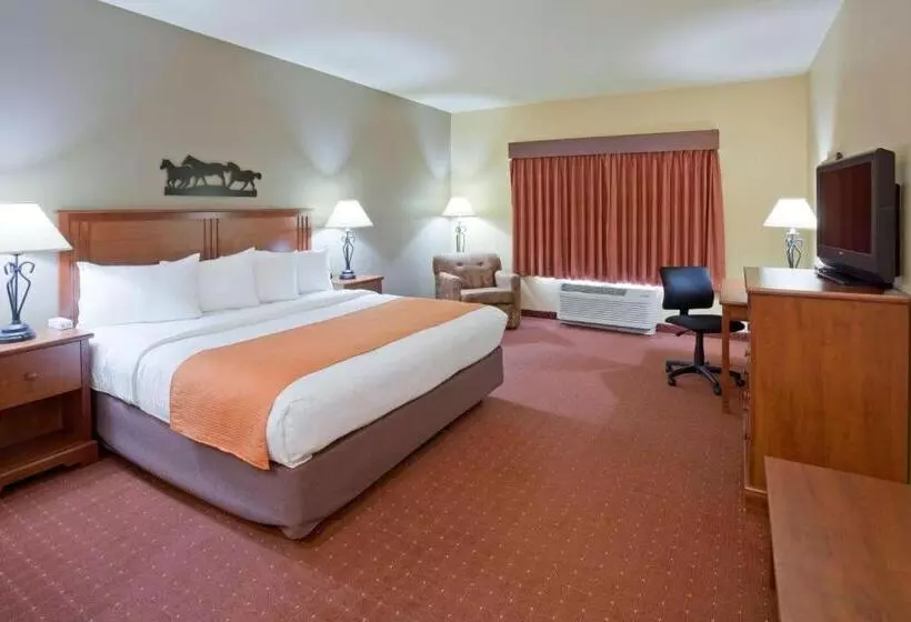 اتاق استاندارد با تخت بزرگ برای معلولان, Americinn By Wyndham Fargo Medical Center