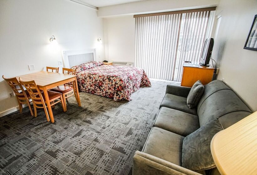 إستوديو قياسى, Courtyard Resort