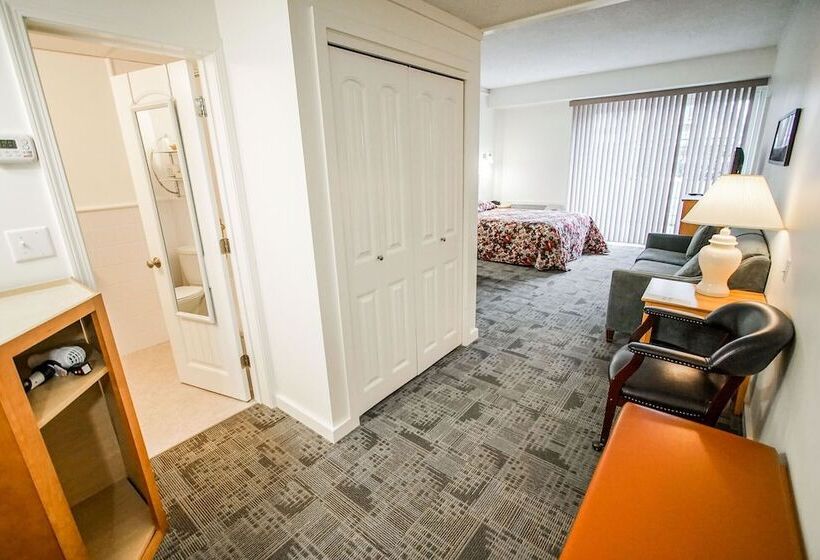 스탠다드 스튜디오, Courtyard Resort