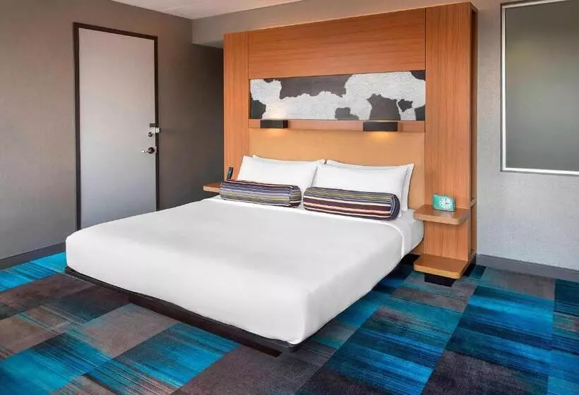 キングサイズベッドのスタンダードルーム, Aloft Nashville Franklin