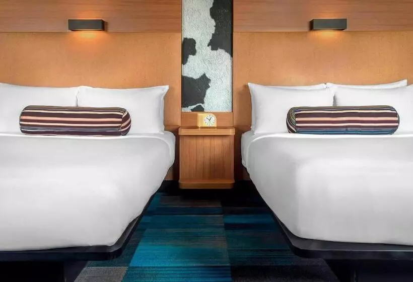 スタンダードルーム, Aloft Nashville Franklin