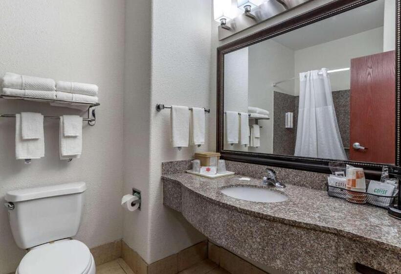 غرفة قياسية سرير كينج, Clarion Pointe Sulphur  Lake Charles