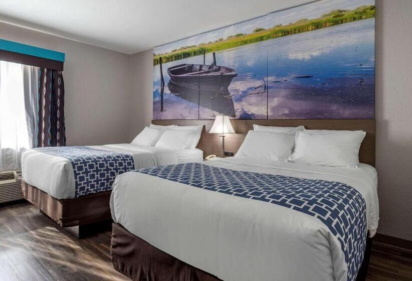 غرفة قياسية لذوى الاحتياجات الخاصة, Clarion Pointe Sulphur  Lake Charles