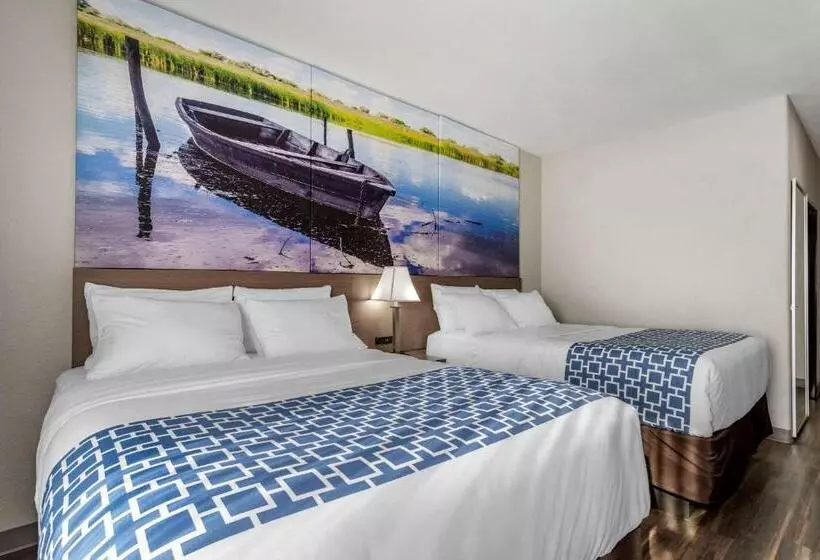 身障者適用スタンダードルーム, Clarion Pointe Sulphur  Lake Charles