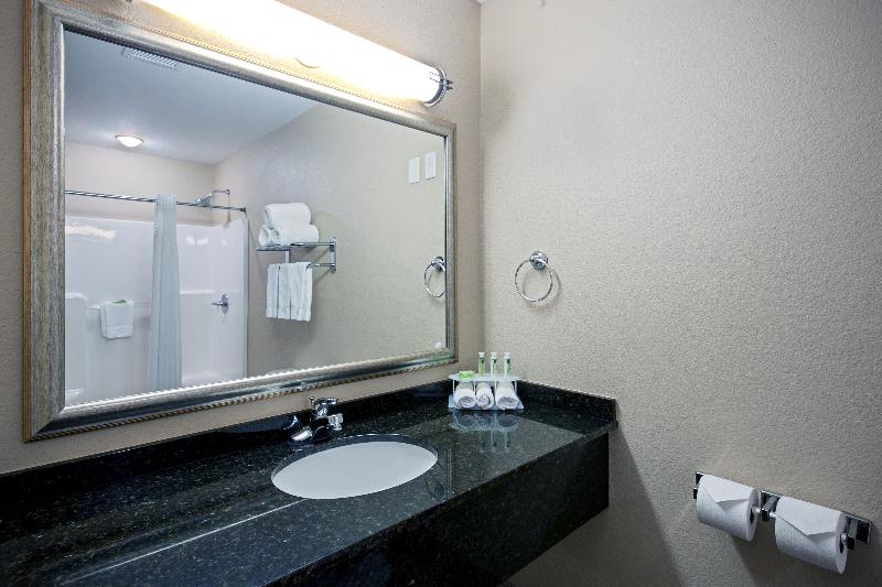 Стандартный Номер Кровать Кинг, Holiday Inn Express & Suites - Green Bay East, An Ihg
